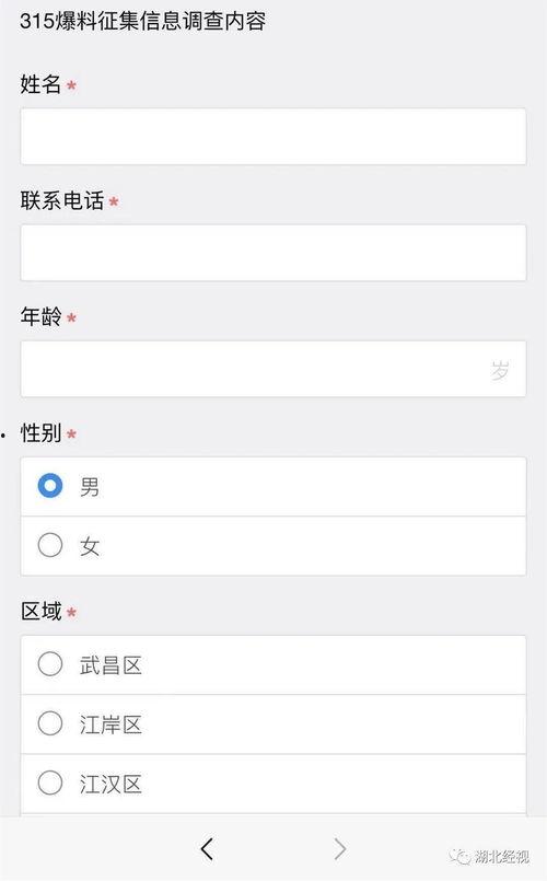 小程序最新爆料咨询公司,咨询公司深度解析行业趋势与未来展望”