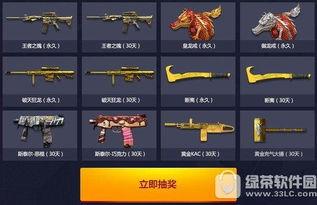 cf活动10月爆料最新,全新爆料，精彩不容错过！