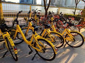 北京自行车爆料事件最新,真相与争议再掀波澜