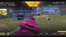 和平精英ss17赛季手册最新爆料,全新爆料揭秘赛季亮点与玩法变革