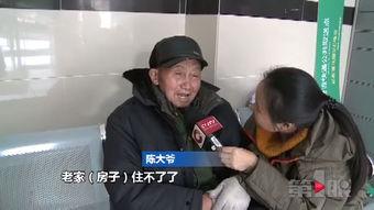 陈大爷最新爆料,揭秘事件背后惊人真相